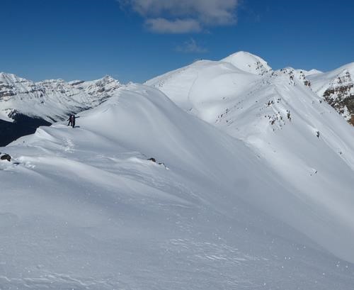 Looking North along the ridgeline