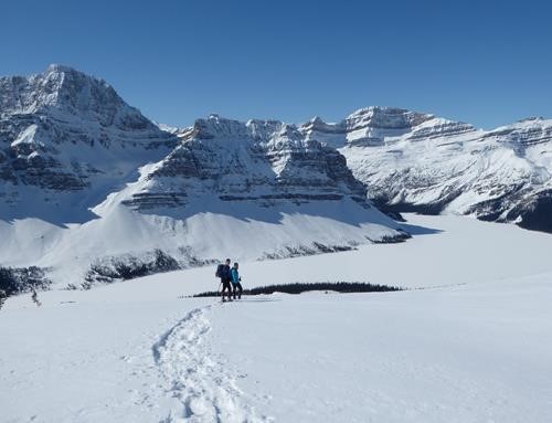 Christine's friends heading back down to treeline