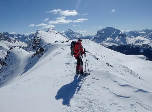 Looking South back along Crystal Ridge