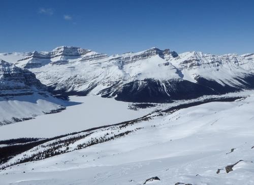 Bow Lake from the bench below the ridge