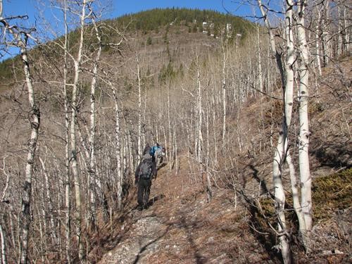 The historic pack trail above the Powderface Creek canyon
