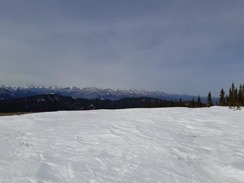 Part of panorama from Cox Hill summit