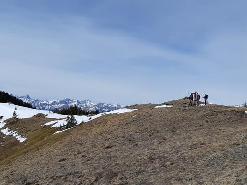 Survey marker cairn on Cox Hill Ridge