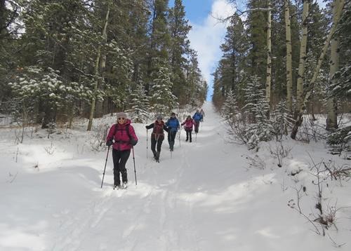 descending from the summit of McLean Hill along the Priddis Trail