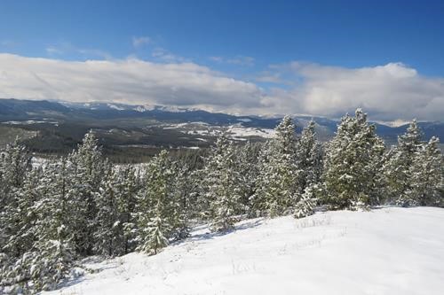view from the summit of McLean Hill