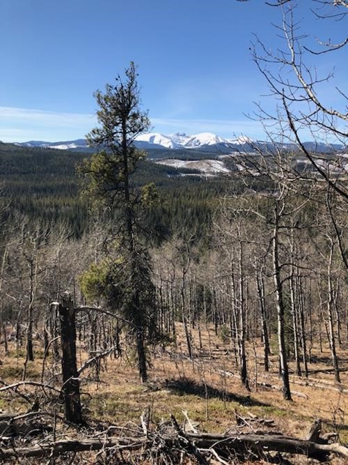 Moose Mountain still snowy