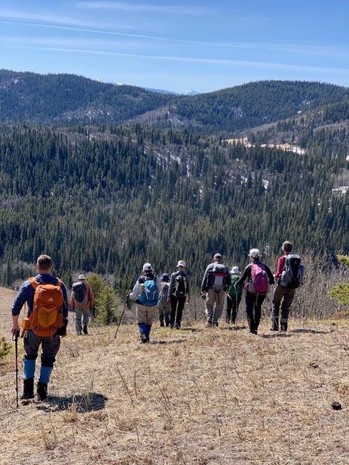 Ings Hills - Heading down the East Ridge to the valley