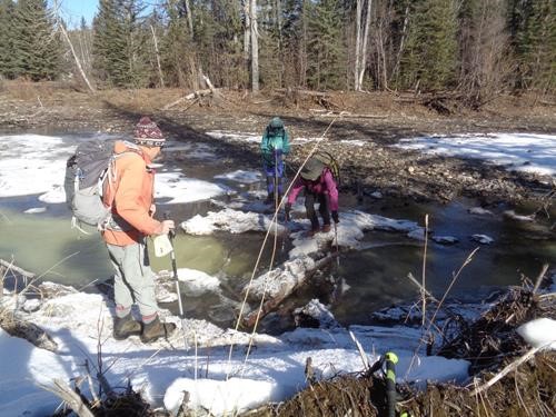 Crossing of Three Point Creek at 9999 Trail - {976 Jea Pro} and {172 Chr Gro} with {957 Bo We} assisting