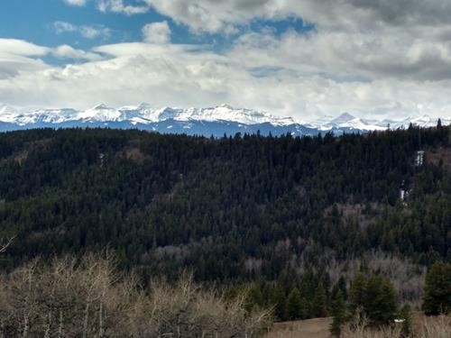 Mountain Vista from ridge