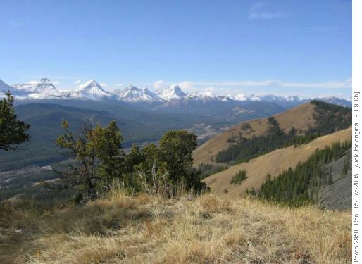 Elk Range from Junction Hill