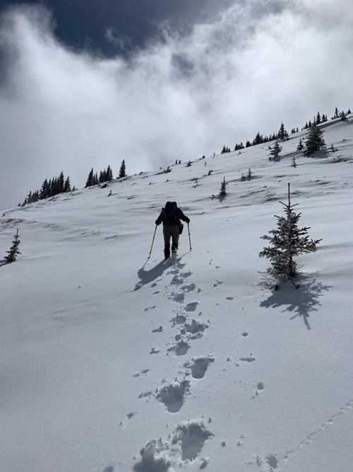 Susan breaking trail.
