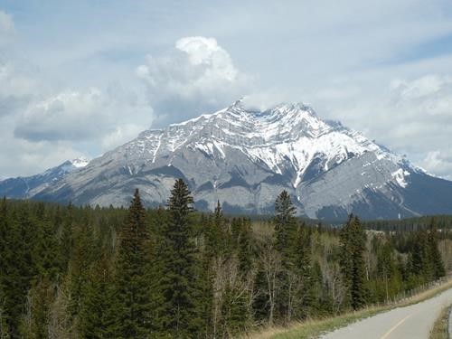 Legacy Trail