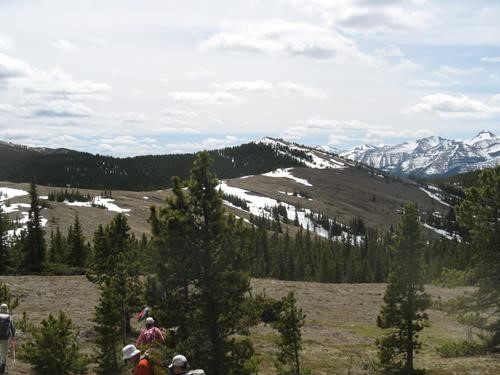 Open meadows with decent views