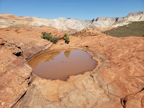 Water "tank" on top of Petrified Dune