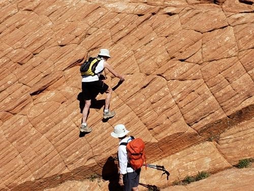Scrambling on the Petrified Dunes