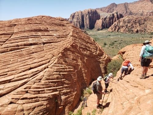 Cross-bedded Navajo Sandstone Petrified Dune