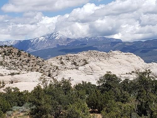 White Rocks on Red Mountain and Pine Valley Mountains