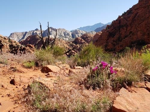 Padre Canyon