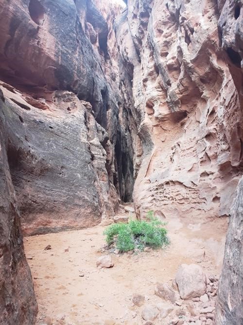 Jenny's Canyon