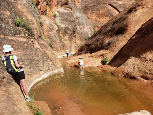 Swimming or wading in cool water in Water Canyon