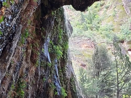 The Weeping Wall