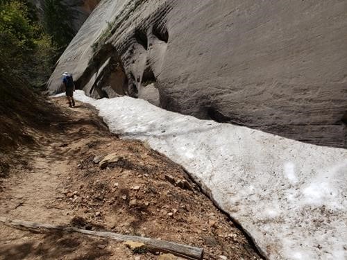 Snow on the Zion West Rim trail