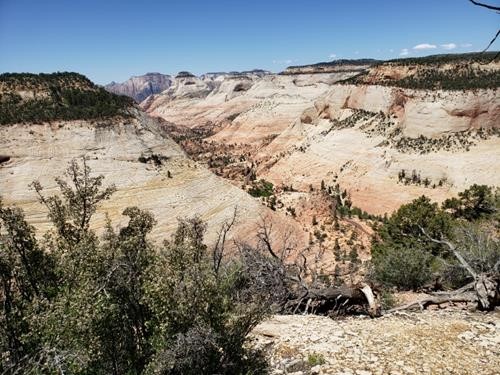 View to the west from Checkerboard Mesa