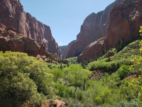 Canyon of the South Fork of Taylor Creek