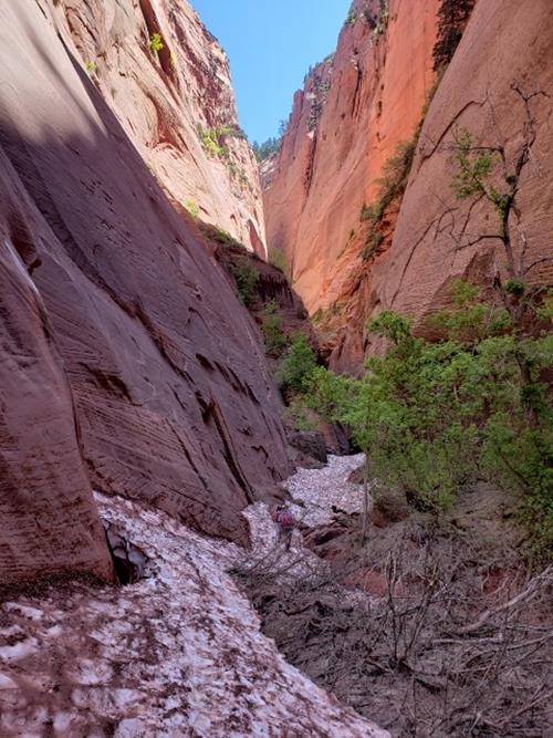 Snow in the upper canyon of the South Fork of Taylor Creek