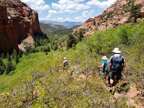 Hiking down the canyon of the South Fork of Taylor Creek