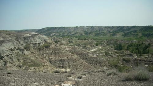 View NE with bluffs in the distance being across the Red Deer River from the park
