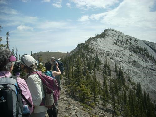 Last uphill to the summit