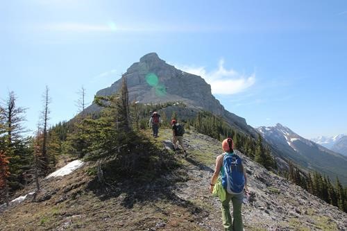 Ridge at treeline - ascend ramp up left of peak