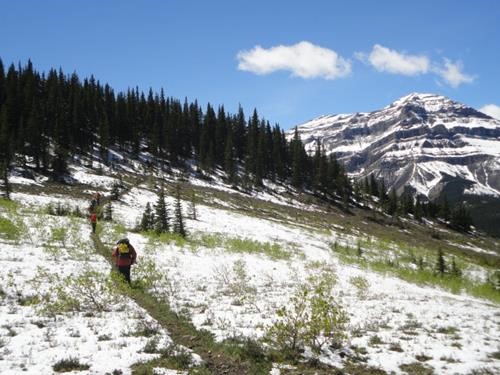 Ramblers approach Mt. Ware after a June snowstorm