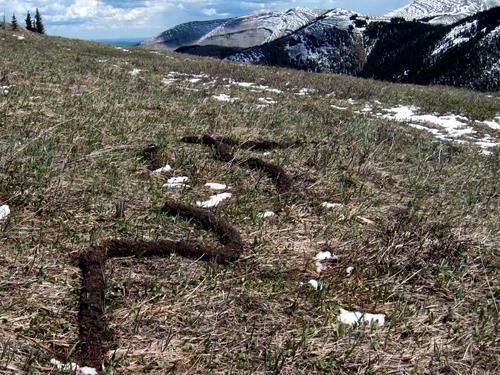 Snake-like dirt formation ({188 Bill Leach} photo)