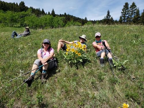 3 Ramblers beauties pose for June calendar contest entry