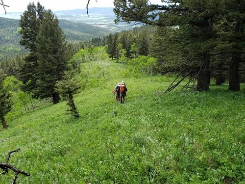 Hiking down Adair Ridge in the Porcupine Hills