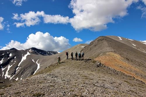 Pika stalking group with Mount Howard left-most highpoint of photo