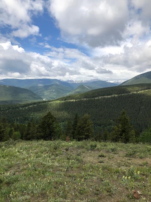 Elbow Valley