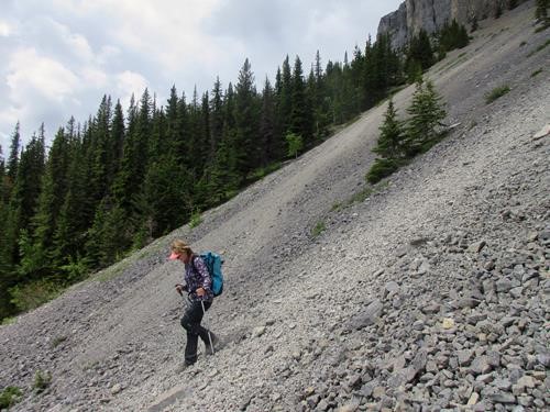 {1412 Marg Sau} enjoying the scree run descending Mount Yamnuska