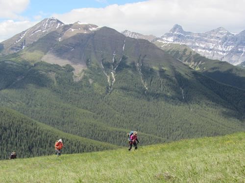 {1314 Barb Brunton}, {777 Dav Harding} & {206 Barb Mitchell} climb the meadows on Pigeon