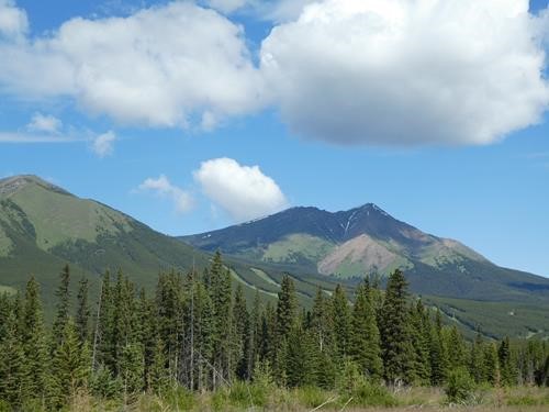 Bill Milne trail