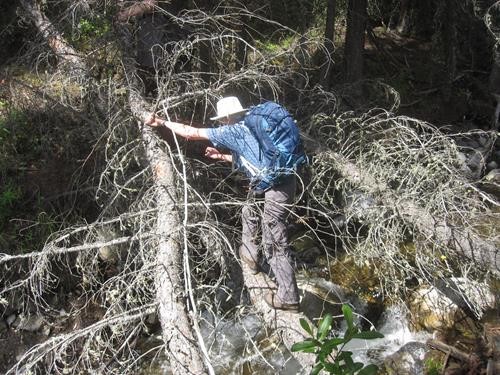 Doug crossing the stream