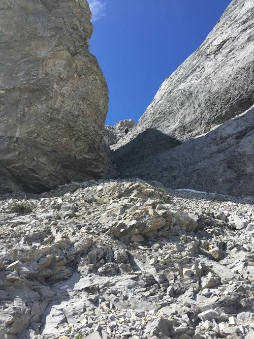 Coming down the gully