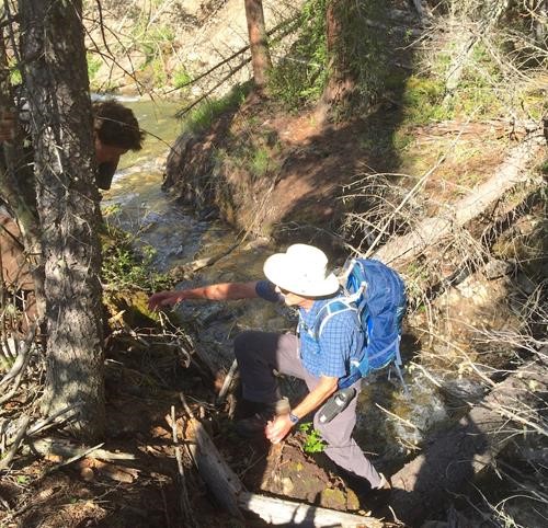 Doug crossing the log bridge across the stream draining the valley west of Lineham Ridge