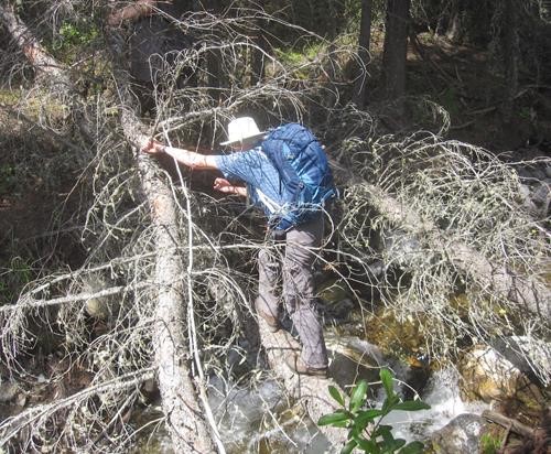 Doug crossing the stream from the valley west of Lineham Ridge