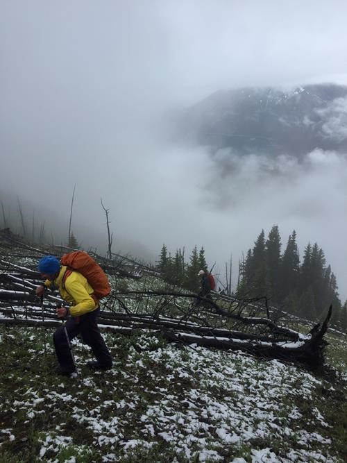 Heading up the misty ridge