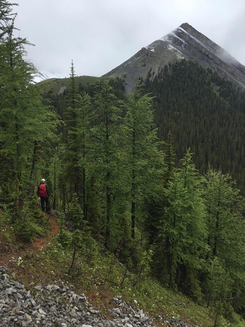 First look at Mount Nomad from the ridge