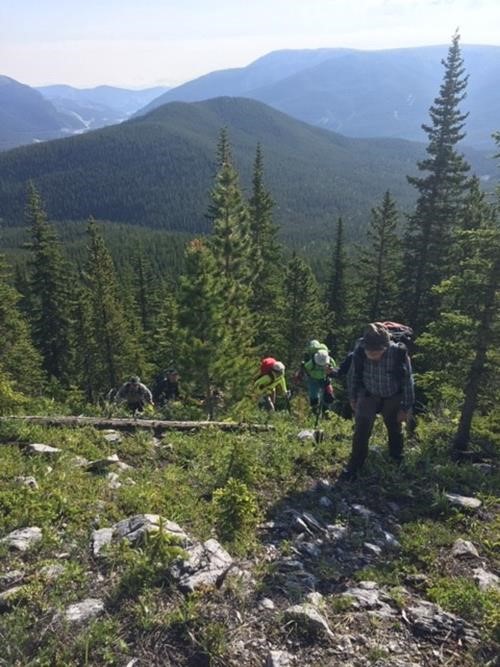 End of bushwhacking at treeline