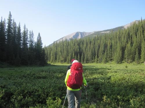 The meadow below east outlier (photo courtesy Ulli)